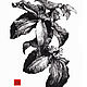 "Flowers of July" - ink and quill, 11.7 x 8.3 ", Pictures, Smolensk,  Фото №1