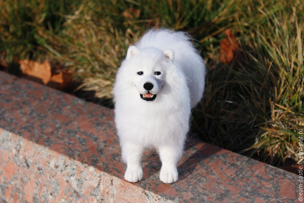 Игрушка самоед с пультом. Белая пушистая собака порода самоед фото. Мягкая игрушка самоедская лайка. Игрушка самоедская лайка. Игрушка самоед.
