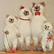 Order La familia de los felinos. Knitted toys Olga Bessogonova. Livemaster. . Stuffed Toys Фото №3