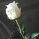 Интерьерная роза Вендела из фоамирана. Цветы. Tanyafloralbeauty. Интернет-магазин Ярмарка Мастеров.  Фото №2