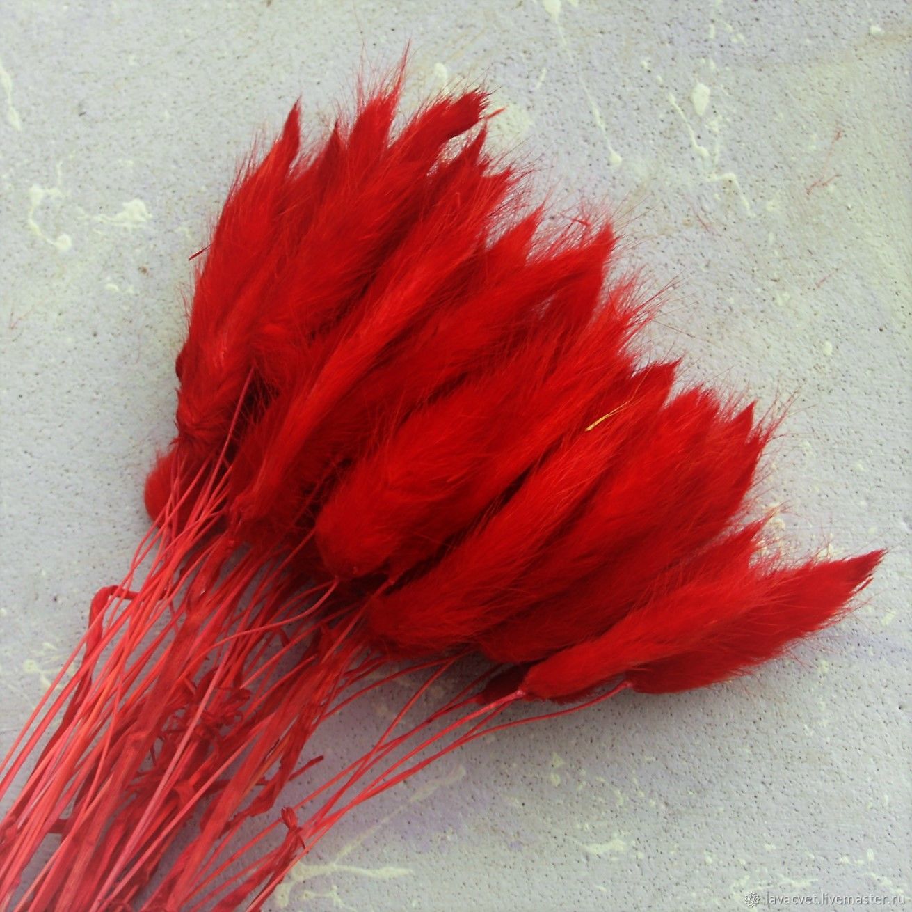 ковыль с маками. авена сухоцвет. рожь цветет. французские колоски с красным канакалонами. красные колоски.