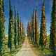 Tuscany. Val D`Orcia.  Oil painting 30/40, Pictures, Armavir,  Фото №1