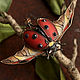 Brooch-pin: ' Coccinellida ' beetle, ladybug, modern, Brooches, Vladimir,  Фото №1