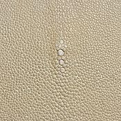 Материалы для творчества handmade. Livemaster - original item Sea stingray skin crust, for painting, not polished!. Handmade.