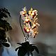 Flower-nightlight orchid 'Aria', Nightlights, Surgut,  Фото №1