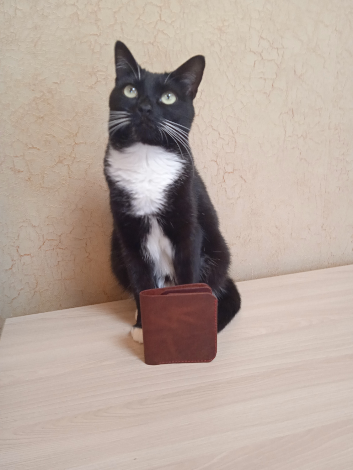 Мой профиль