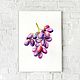 Watercolor Bunch of grapes. Pictures. natabold. Online shopping on My Livemaster.  Фото №2