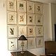 Винтаж: Audubon Гравюры Птицы и цветы #1 Англия винтаж. Картины винтажные. Gala-presents. Ярмарка Мастеров.  Фото №6