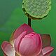 Order Lotus Box silicone mold. ceramic flowers. Livemaster. . Molds for making flowers Фото №3