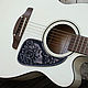 Кожаный пикгард pickguard для акустической гитары, Гитары, Днепр,  Фото №1