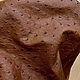 Кожа страуса, одёжная мягкая выделка, тёмно - коричневый цвет, Кожа, Санкт-Петербург,  Фото №1