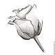 Картина Роза, рисунок розы серый белый графика карандаш. Картины. Юлия Рустамьян (Julrust). Интернет-магазин Ярмарка Мастеров.  Фото №2
