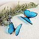 Transparent Earrings Bright Blue Turquoise Fluttering Butterflies Resin, Earrings, Taganrog,  Фото №1