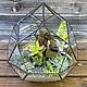 Florarium round ' Sphere-dodecahedron'. Florariums. tiffanarium (Tiffanarium). Online shopping on My Livemaster.  Фото №2