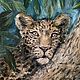 Картина маслом Леопард, животные, дикая кошка, Картины, Апшеронск,  Фото №1