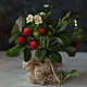 Compositions: strawberry bush made of cold porcelain. Composition. KG_flowers. Online shopping on My Livemaster.  Фото №2