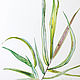Painting watercolor blades of Grass. Pictures. GerDaPainting. Интернет-магазин Ярмарка Мастеров.  Фото №2