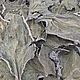 Травы: Шалфей мускатный (лист) сбор 2023, Травы для окуривания, Феодосия,  Фото №1