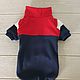 Clothing for cats 'Fleece jacket - Blue with red, white'. Pet clothes. Happy-sphynx. My Livemaster. Фото №4