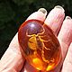 Magnet Real Scorpion in resin amber color souvenir gift cabochon. Magnets. BalticAmberJewelryRu Tatyana. Online shopping on My Livemaster.  Фото №2