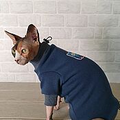 Зоотовары handmade. Livemaster - original item Cat clothes 