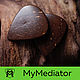The mediator coconut: CocoStrum, Guitar picks, Zhukovsky,  Фото №1
