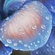 Oil painting: "Iris flower after the rain No. №2". Pictures. Artist Iuliia Kravchenko (realism-painting). My Livemaster. Фото №4