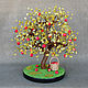 Apple tree of jade and coral, Trees, Maikop,  Фото №1