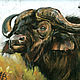  Buffalo (Bull). Print from the author's work, Pictures, St. Petersburg,  Фото №1