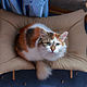 Order Hammock for cat "soft Beige". DogWood. Livemaster. . Pet Hammock Фото №3