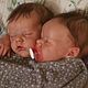 Куклы реборн Twin A и Twin B. Куклы Reborn. Лилия. Интернет-магазин Ярмарка Мастеров.  Фото №2