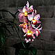 Flower-night light 'Pink orchid', Nightlights, Surgut,  Фото №1