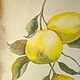 Акварель в старинном стиле "Лимоны на ветке". Картины. рукоделочки. Интернет-магазин Ярмарка Мастеров.  Фото №2