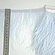 Copy of Trim of ostrich feathers 10-15 cm light-blue, braid, Moscow,  Фото №1