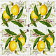 Napkins for decoupage citrus lemons oranges. Napkins for decoupage. materials for creative Anna Sintez. Online shopping on My Livemaster.  Фото №2