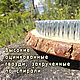 Cedar Sadhu Board with Iron nails, 10 mm, for beginners, Yoga Products, Pskov,  Фото №1