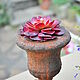 Flowerpot with artificial succulent for home and garden. Composition. Decor concrete Azov Garden. My Livemaster. Фото №4