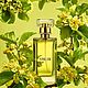 Tilia / unisex/ Духи в стиле Marc-Antoine Barrois. Духи. Ароматический Бутик (my-perfumer). Ярмарка Мастеров.  Фото №5