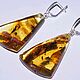 Long stick earrings made of natural amber