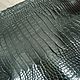 Alligator leather, semi-gloss coating, haberdashery dressing!, Leather, St. Petersburg,  Фото №1