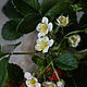 Compositions: strawberry bush made of cold porcelain. Composition. KG_flowers. My Livemaster. Фото №4
