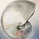 Oil painting Nautilus 80h80 cm. Pictures. Ivlieva Irina Art. My Livemaster. Фото №4