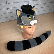 Cartoon Kitten hat for baby boy cat costume