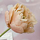  Пионовидный тюльпан из холодного форфора. Цветы. Мария Варганова (varganova-maria). Ярмарка Мастеров.  Фото №5