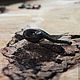 Black pijavica. wood pendant ebony. Pendant. Woollywood_woodcarving. Online shopping on My Livemaster.  Фото №2