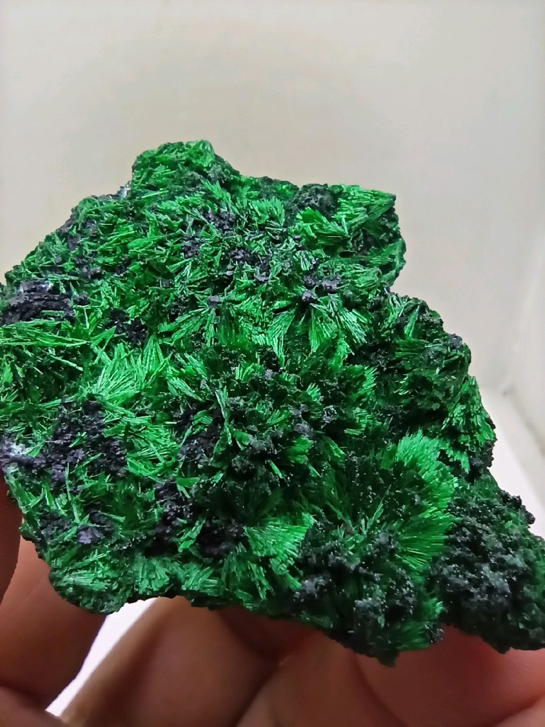 Малахит плисовый в интернет-магазине Ярмарка Мастеров по цене 1800 ...