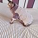 Cat clothes 'Super Comfort Jumpsuit'. Pet clothes. Happy-sphynx. Online shopping on My Livemaster.  Фото №2