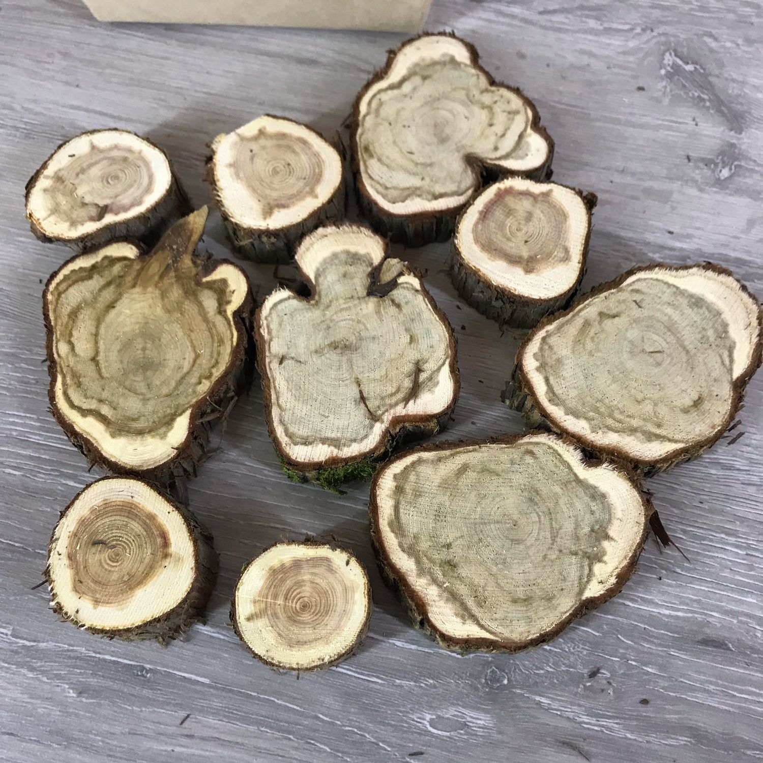 Купить Спилы Дерева Ростов На Дону