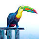 Toucan, Pictures, Krasnodar,  Фото №1