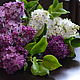 Bouquet of lilac polymer clay, Edible bouquets, Odessa,  Фото №1